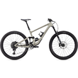 Bicicleta SPECIALIZED Enduro Elite 29 White Mountains/Satin Carbon/Sage 