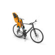 Scaun bicicleta THULE RideAlong Lite cu montare in spate - Zinnia