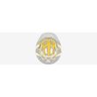Casca SPECIALIZED Mio Hlmt Mips Ce Problu/Gldnyel Geo Tdlr