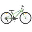 Bicicleta CROSS Speedster otel - 26'' junior - verde