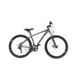 Bicicleta MOON Sprinter 29" gri 
