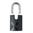 Incuietoare lant AXA Newton Promoto Neo 2 100x9 negru