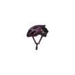 Casca SPECIALIZED Chamonix MIPS - Cast Berry 