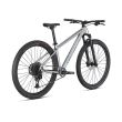 BICICLETA MTB SPECIALIZED ROCKHOPPER EXPERT 29 - SILVER DUST/BLACK HOLOGRAPHIC L