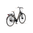 Bicicleta CROSS Citerra LS - 28" city - 