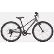 Bicicleta copii SPECIALIZED Jett 24 - Satin Smoke/Flake Silver 24