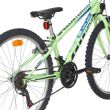 Bicicleta CROSS Speedster otel - 26'' junior - verde