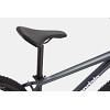 Bicicleta Mtb Cannondale Trail 6 29" 2022 slate gray XL gri