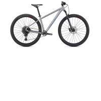Bicicleta SPECIALIZED Rockhopper Expert 29 - Silver Dust/Black Holographic XL