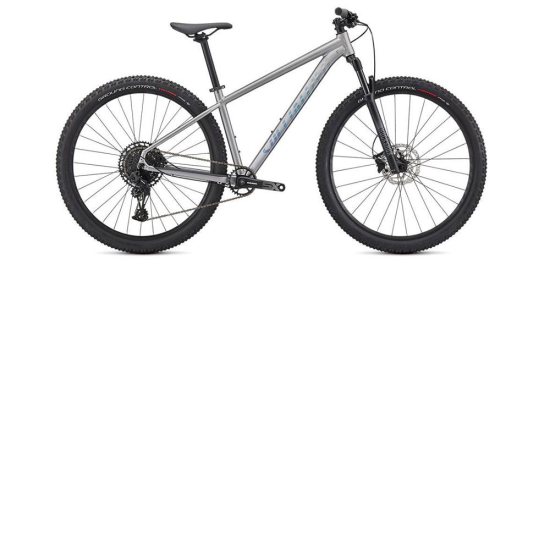 Bicicleta SPECIALIZED Rockhopper Expert 29 - Silver Dust/Black Holographic XL