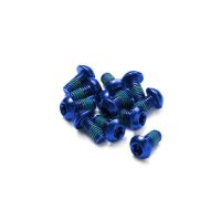 Set 12 suruburi disc otel Reverse albastre