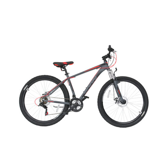 Bicicleta MOON Sprinter 29" gri 