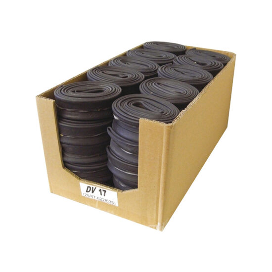 Camera SCHWALBE DV17 28'' (28/47-622/635 WP 40mm)