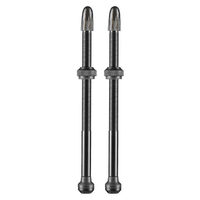 VENTIL SCHWALBE TUBELESS (SET) 100MM