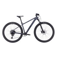 BICICLETA CUBE ACID Grey Pearlgrey 2023 cadru XL (22") - roti 29