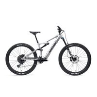 BICICLETA ELECTRICA AMFLOW PL CARBON SATIN SILVER 2026 L