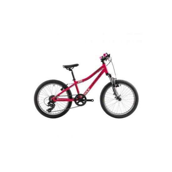Bicicleta Copii Devron Riddle K2.2 Roz 20 Inch