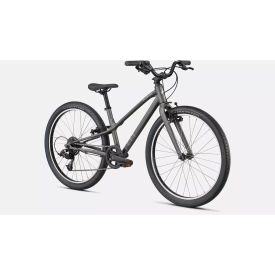Bicicleta copii SPECIALIZED Jett 24 - Satin Smoke/Flake Silver 24